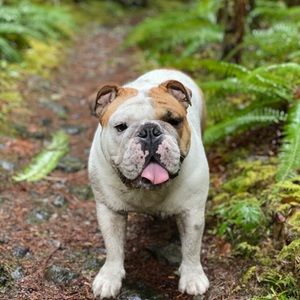 Meet your Posher, Marvin